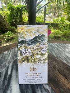 Sô-cô-la đen Chanh Xanh -80gr