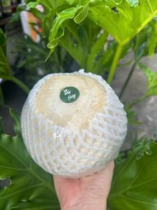 DỪA GỌT KIM CƯƠNG